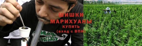бошки Верхний Тагил